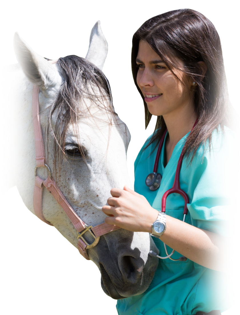 Get the help you need, when you need it