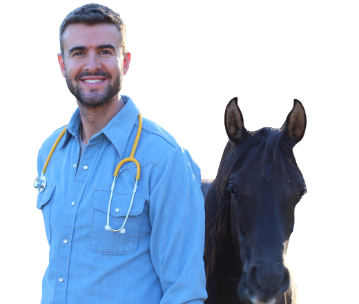 Instant Access to Equine Expertise
